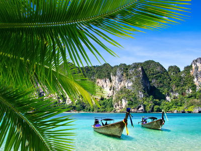 Ljuddämpande tavla - Tropical landscape 3d