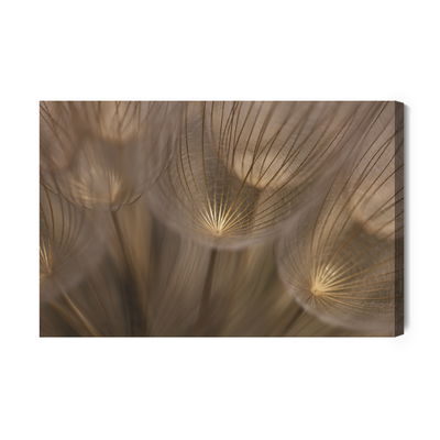 Ljuddämpande tavla - Dandelion seeds