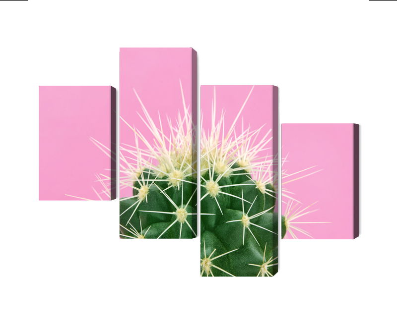 Ljuddämpande tavla - Cactus on a pink background