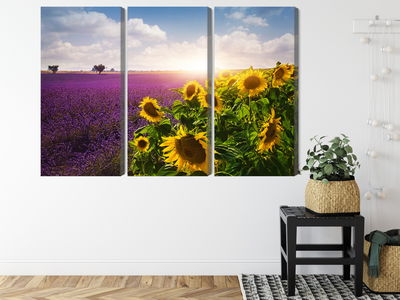 Ljuddämpande tavla - Lavender and sunflower