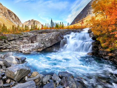 Ljuddämpande tavla - Autumn landscape
