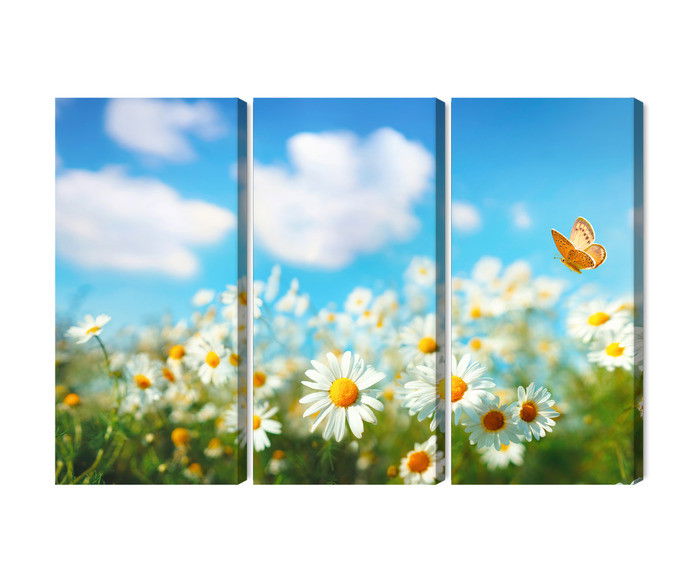 Ljuddämpande tavla - 3d daisy field