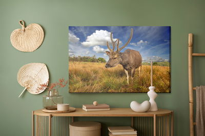 Ljuddämpande tavla - A deer in a clearing