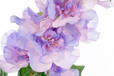 Ljuddämpande tavla - Peonies in shades of purple