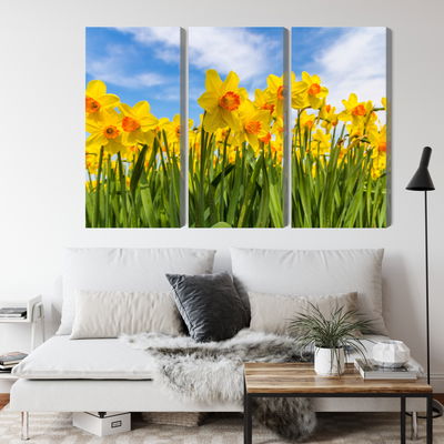 Ljuddämpande tavla - Daffodil field 3d