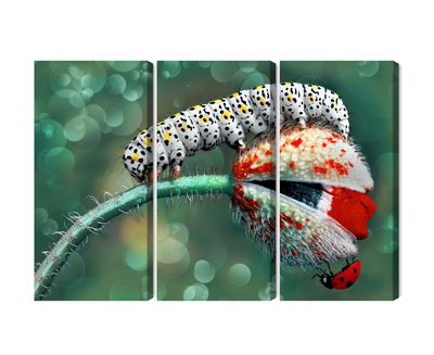 Ljuddämpande tavla - A caterpillar and a ladybug