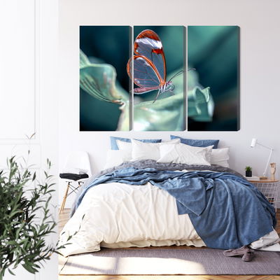 Ljuddämpande tavla - Glass-winged butterfly close