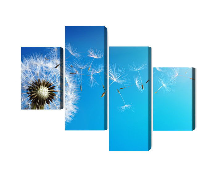 Ljuddämpande tavla - Dandelion with flying seeds