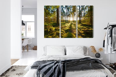 Ljuddämpande tavla - Forest landscape with sunset