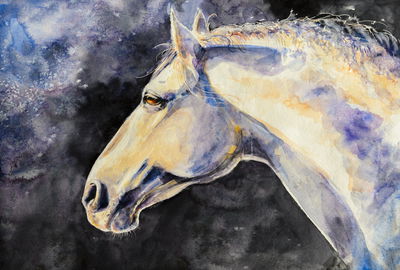 Ljuddämpande tavla - A light horse on a dark