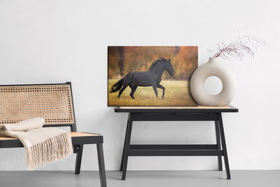 Ljuddämpande tavla - Black horse in the clearing