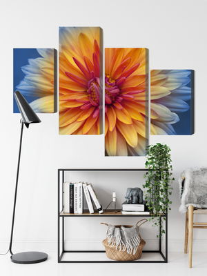 Ljuddämpande tavla - Chrysanthemum flower close