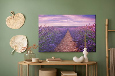 Ljuddämpande tavla - Beautiful lavender field