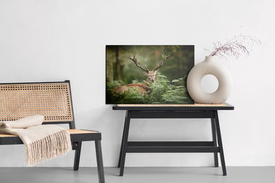 Ljuddämpande tavla - A deer in the green