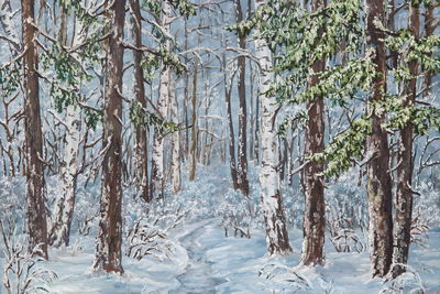 Ljuddämpande tavla - Snow-covered forest