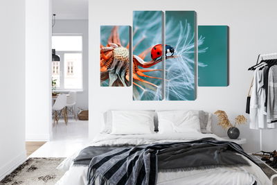 Ljuddämpande tavla - Ladybug on a dandelion