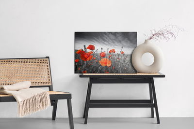 Ljuddämpande tavla - Wild poppies on a black