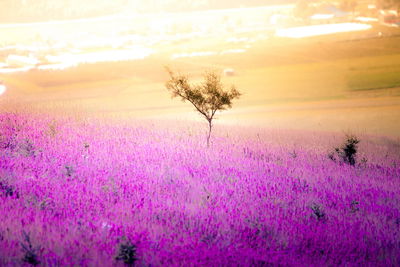 Ljuddämpande tavla - A tree in the center