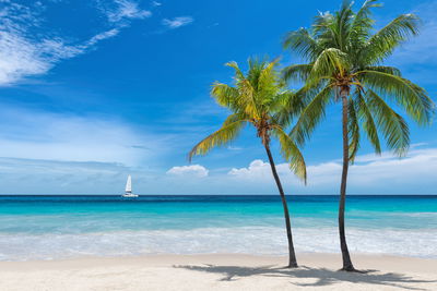 Ljuddämpande tavla - Island in the tropical sea