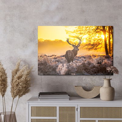 Ljuddämpande tavla - Deer in the morning sun