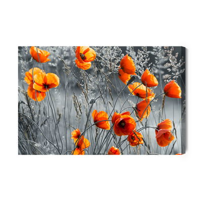 Ljuddämpande tavla - Beautiful meadow poppies