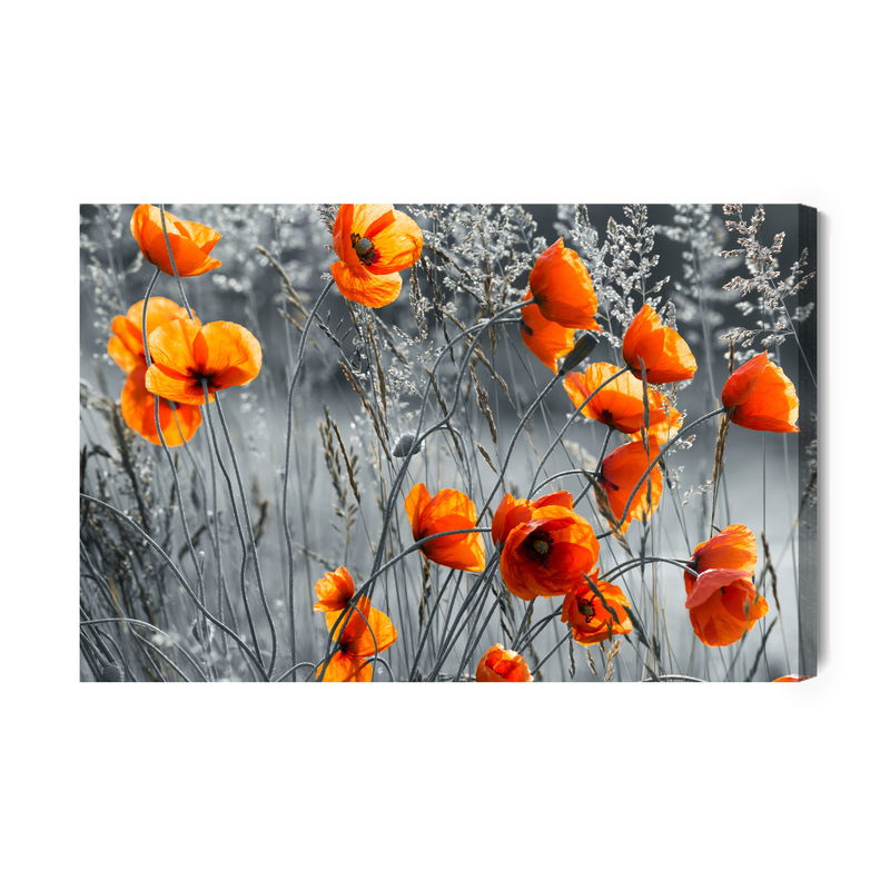 Ljuddämpande tavla - Beautiful meadow poppies