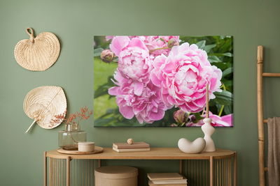 Ljuddämpande tavla - Peony flowers
