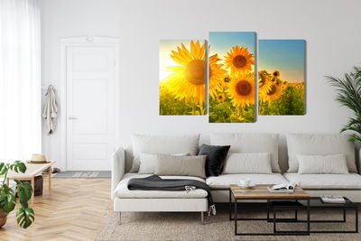 Ljuddämpande tavla - Sunflower field at sunset 3d