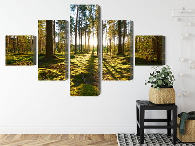 Ljuddämpande tavla - Forest landscape with sunset