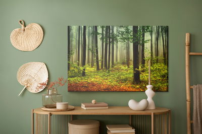 Ljuddämpande tavla - 3d forest landscape