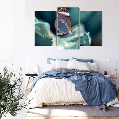 Ljuddämpande tavla - Glass-winged butterfly close