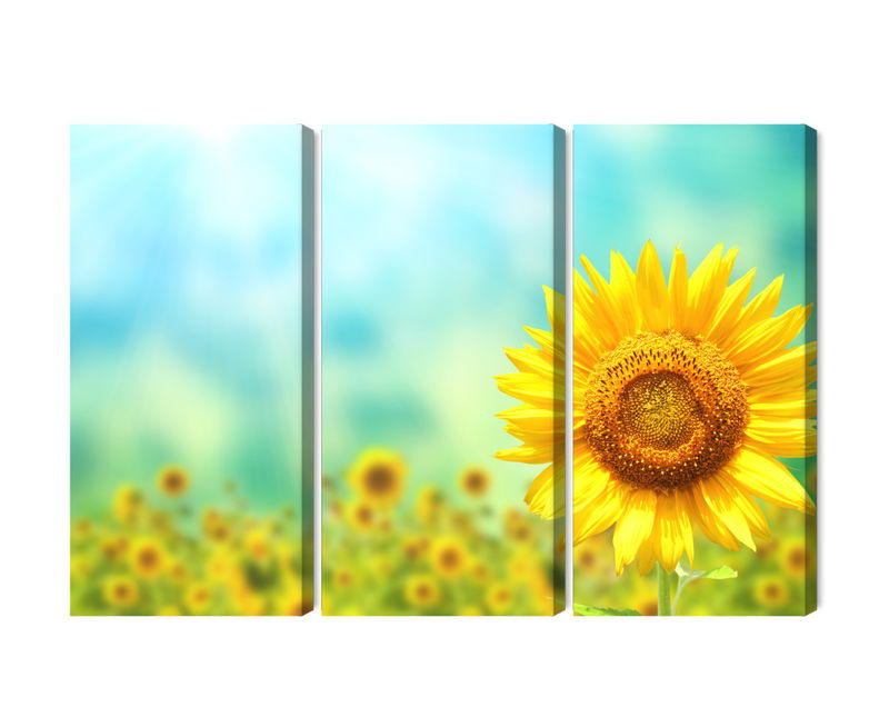 Ljuddämpande tavla - Decorative 3d sunflower