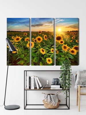 Ljuddämpande tavla - Sunflower field at sunset 3d