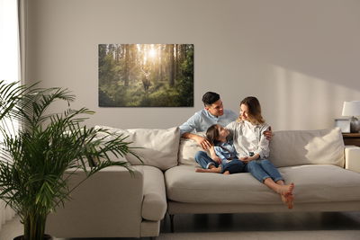 Ljuddämpande tavla - Deer and the sun's rays