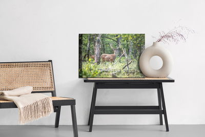 Ljuddämpande tavla - A deer in the middle