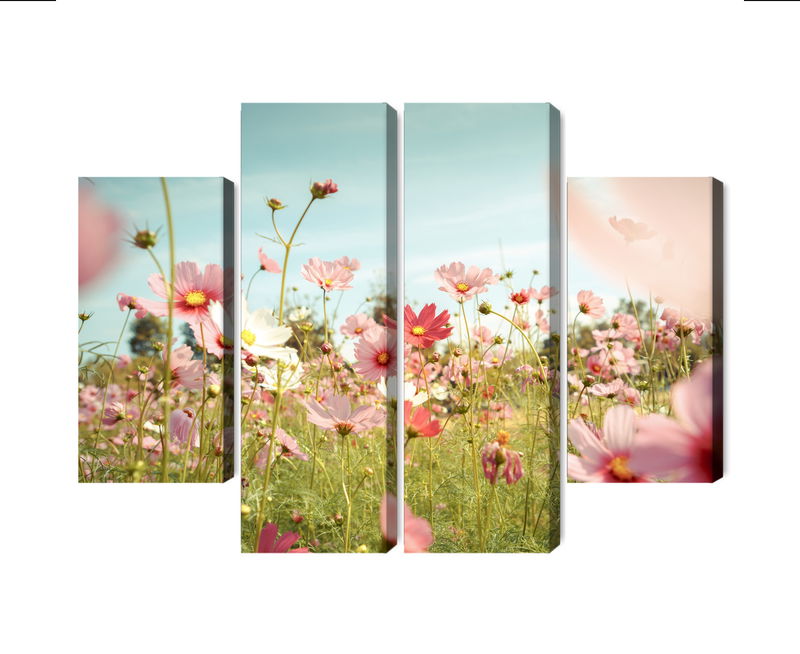 Ljuddämpande tavla - Cosmos flowers in the garden
