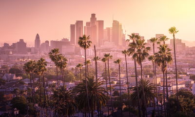 Ljuddämpande tavla - Downtown los angeles