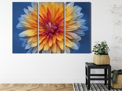 Ljuddämpande tavla - Chrysanthemum flower close