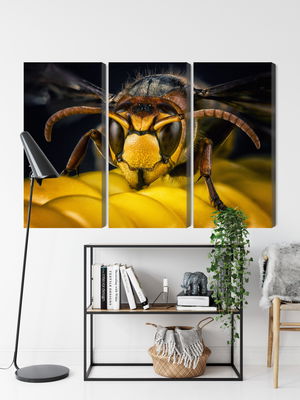 Ljuddämpande tavla - Wasp on a macro scale