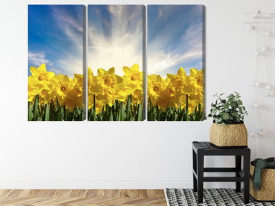 Ljuddämpande tavla - 3d daffodils field