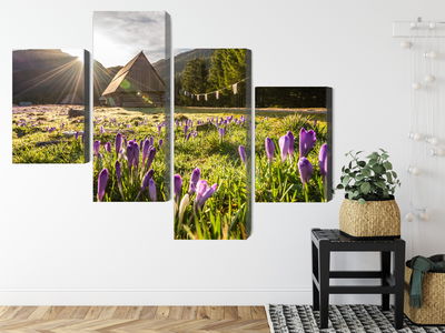 Ljuddämpande tavla - Chocholowska valley