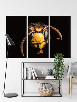 Ljuddämpande tavla - Hornet on a macro scale