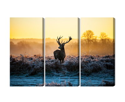 Ljuddämpande tavla - Deer in the rut in 3d