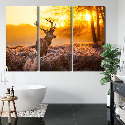 Ljuddämpande tavla - Deer in the forest at sunset