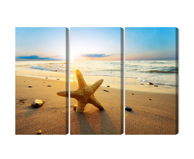 Ljuddämpande tavla - Starfish on the beach 3d