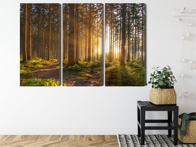 Ljuddämpande tavla - Sunset in the forest