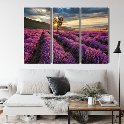 Ljuddämpande tavla - Lavender field at sunset 3d