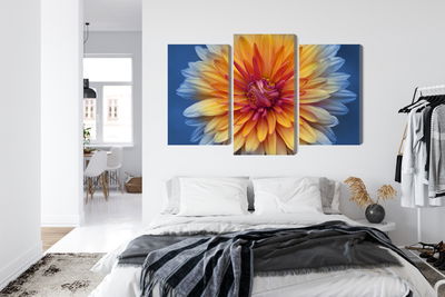 Ljuddämpande tavla - Chrysanthemum flower close