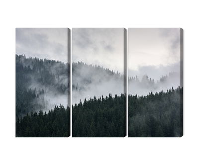 Ljuddämpande tavla - Misty 3d forest landscape