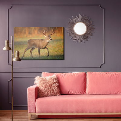 Ljuddämpande tavla - White-tailed deer